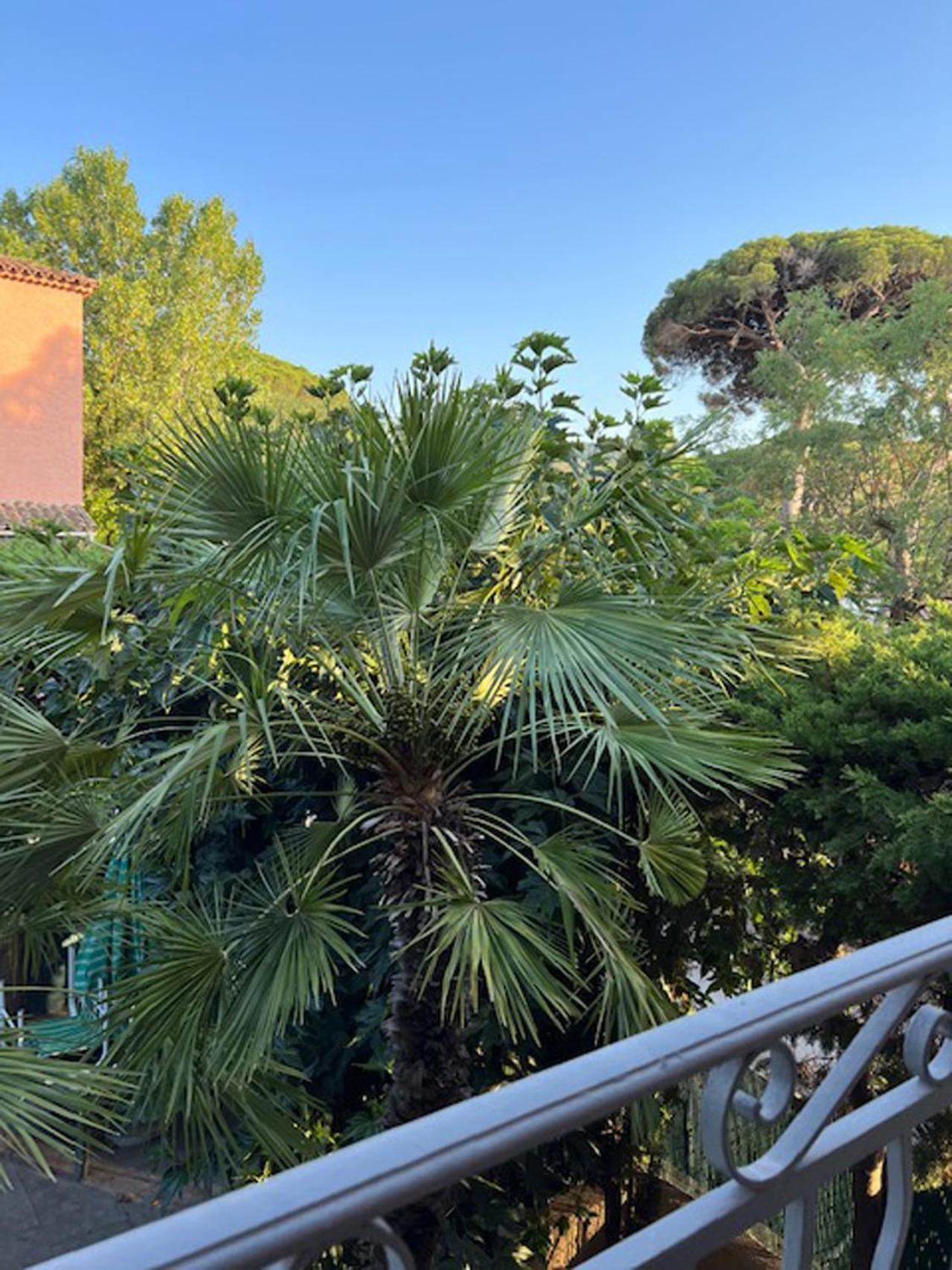 Superbe Appartement Terrasse Et Parking Prive Saint-Tropez Exterior photo